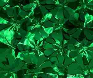 Green Metallic Floral Sheeting 5 Yard Roll (15 feet)